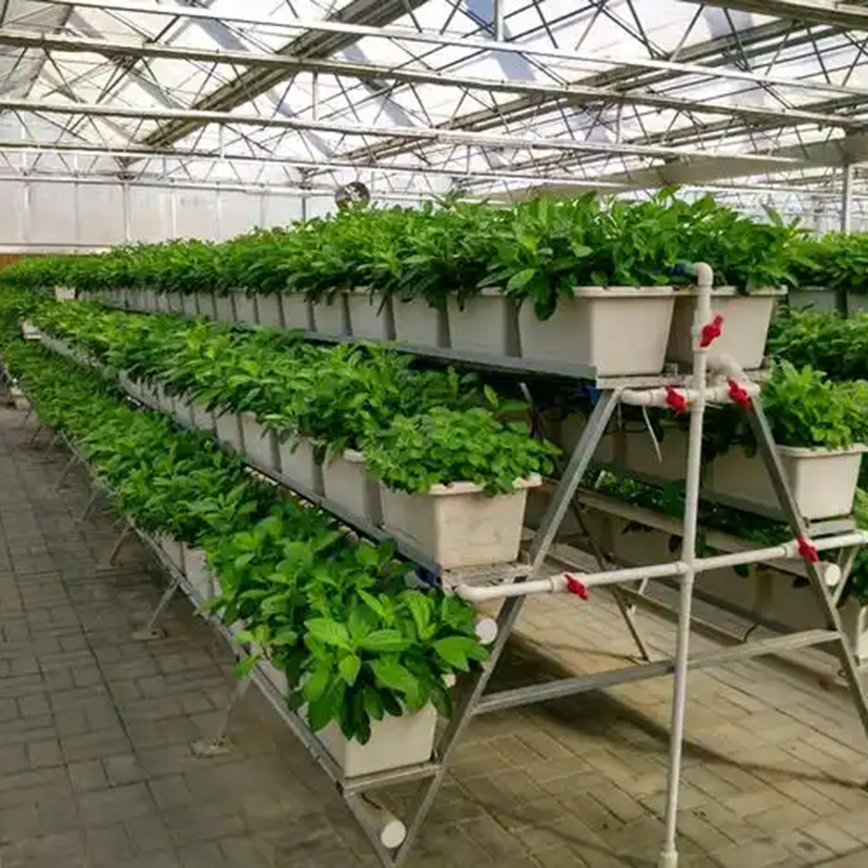 酒泉市植物工厂玻璃大棚 - 哪里好